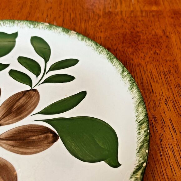 BLUE RIDGE Southern Potteries 9 1/2” Plate GREENBRIER PATTERN 1940s USA - Picture 2 of 10